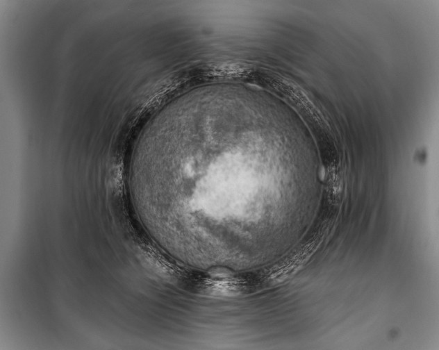 X0000100930564200807011224