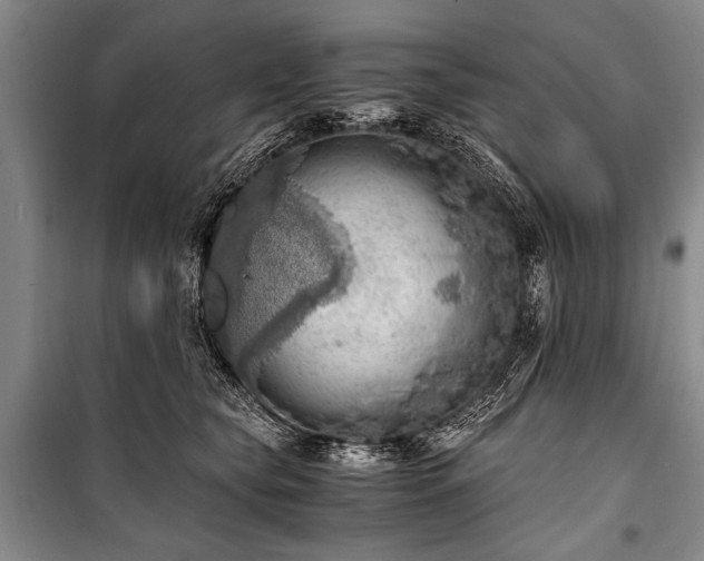 X0000100930565200807011224