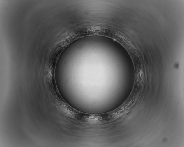 X0000100930566200807011224