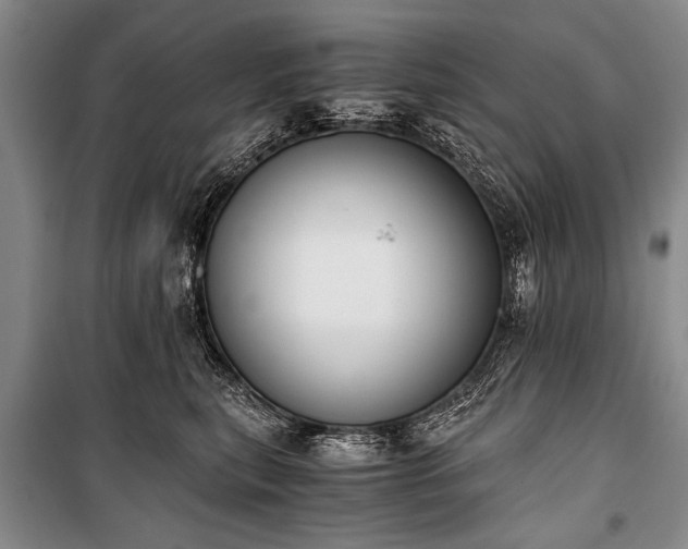 X0000100930567200807011224