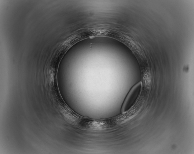 X0000100930570200807011224