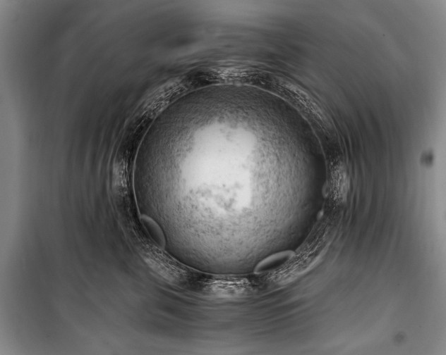 X0000100930571200807011224