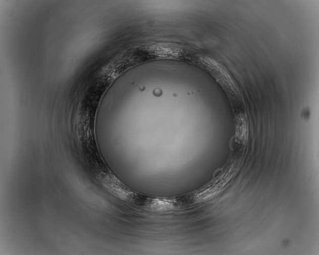 X0000100930573200807011224