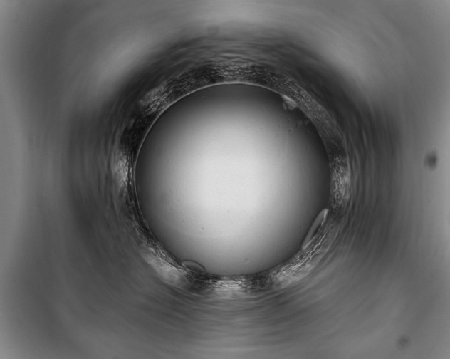 X0000100930574200807011224