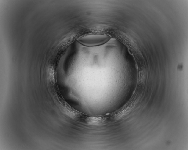 X0000100930575200807011224