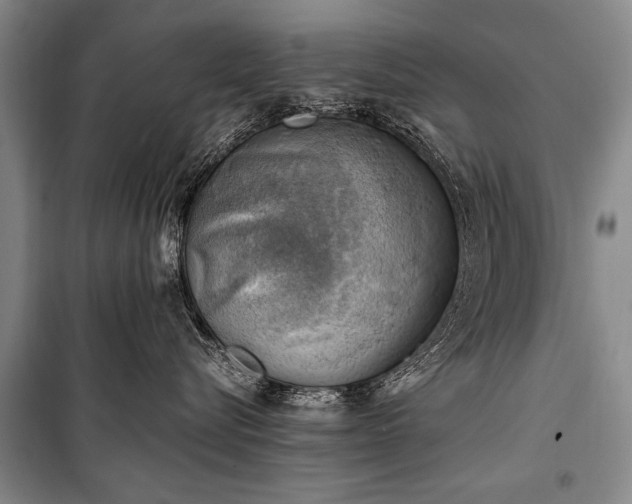 X0000100930576200807011224