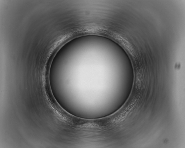 X0000100930578200807011223