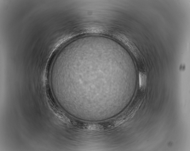 X0000100930579200807011223