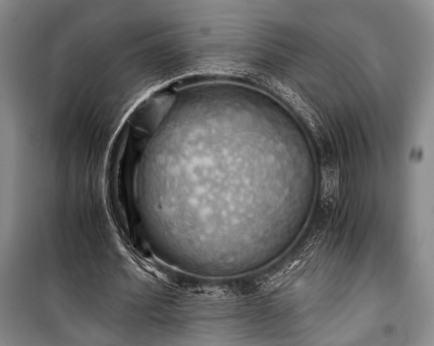 X0000100930580200807011223