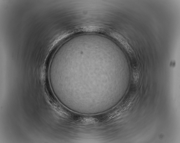 X0000100930583200807011223