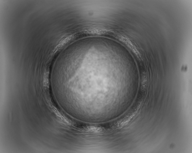 X0000100930585200807011223