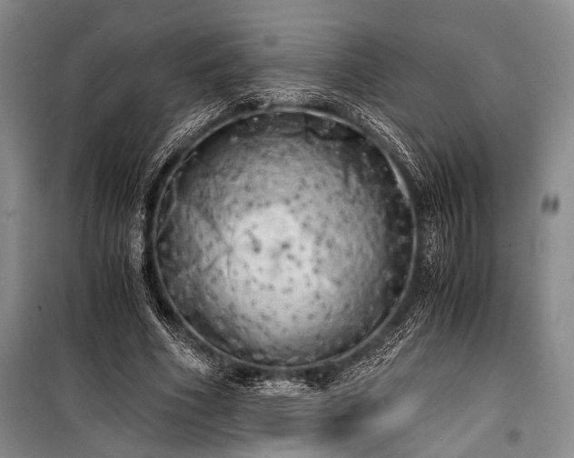X0000100930586200807011223