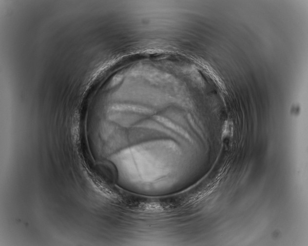 X0000100930588200807011223