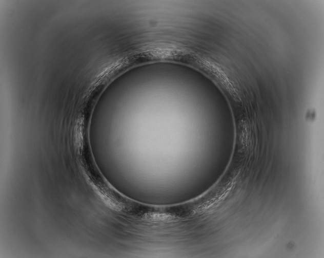 X0000100930590200807011223