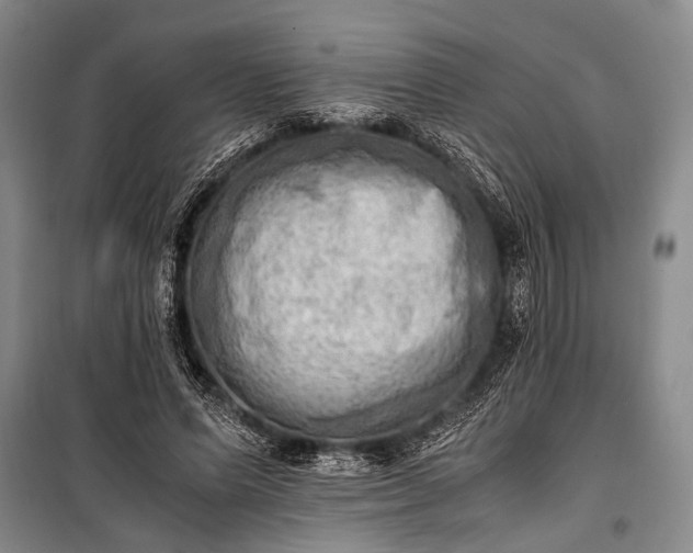 X0000100930591200807011223