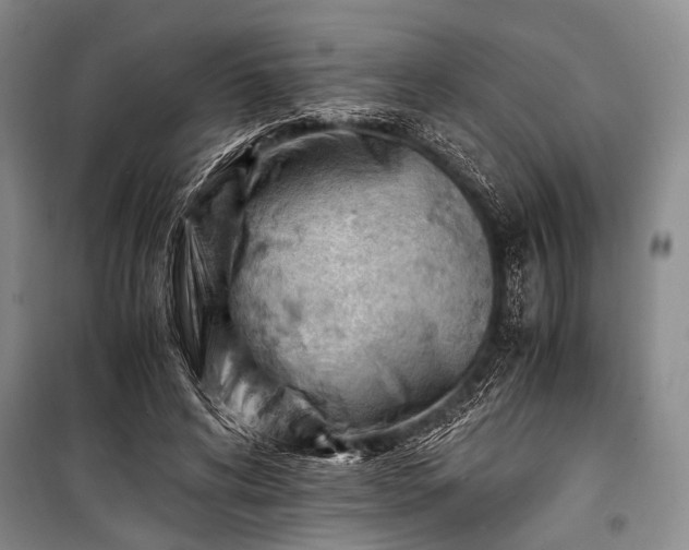 X0000100930592200807011223