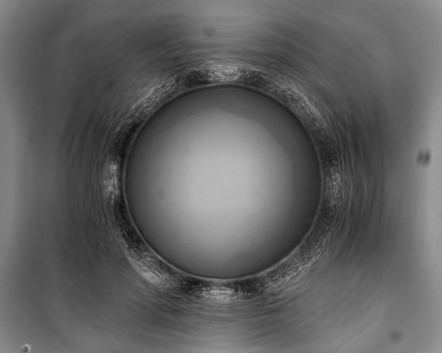 X0000100930598200807011223