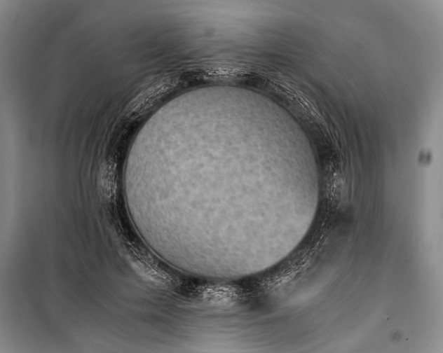 X0000100930599200807011223