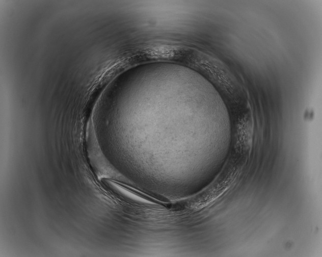 X0000100930600200807011223