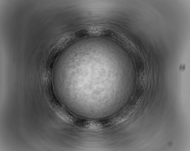 X0000100930601200807011223