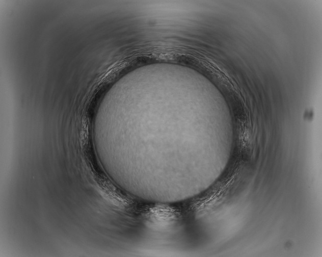 X0000100930603200807011223