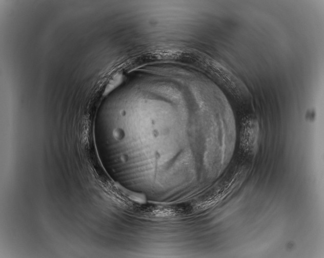 X0000100930604200807011223