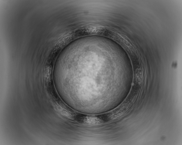 X0000100930605200807011223