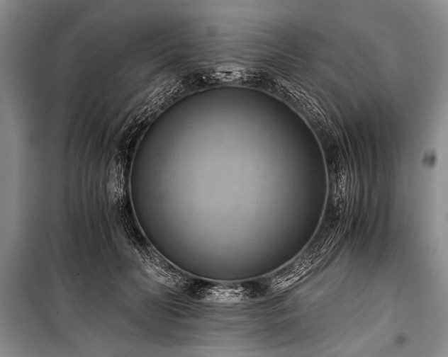 X0000100930606200807011223