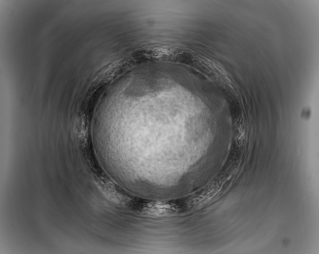 X0000100930607200807011223