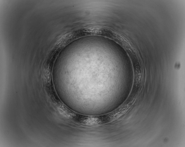 X0000100930609200807011223