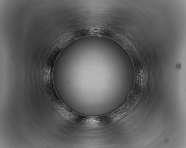 X0000100930610200807011223