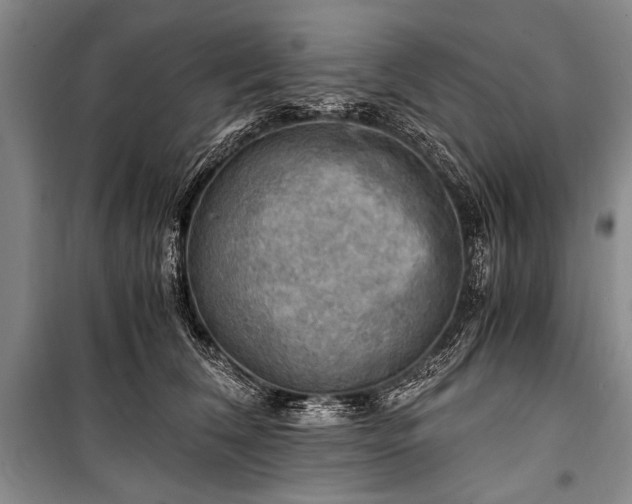 X0000100930612200807011223