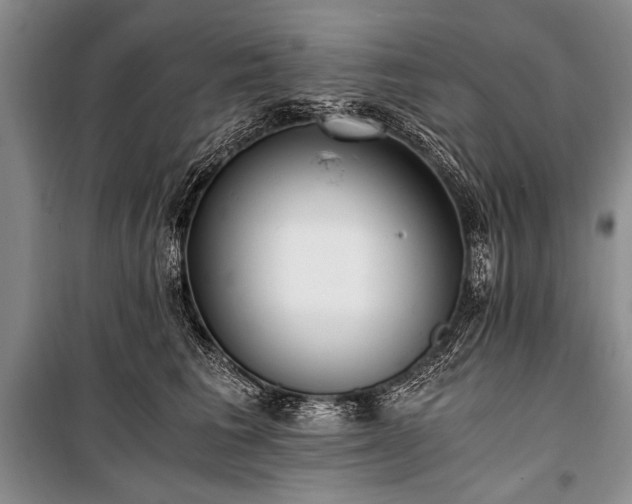 X0000100930613200807011223