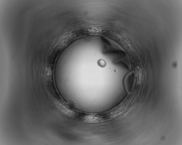 X0000100930614200807011223