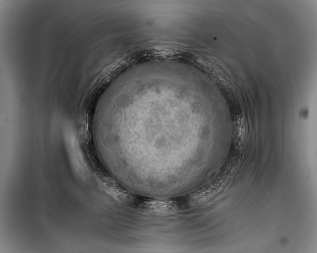 X0000100930615200807011223