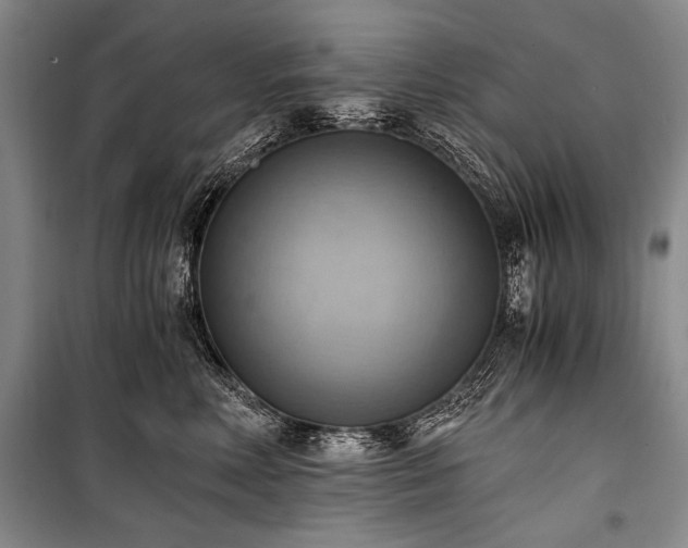 X0000100930618200807011223