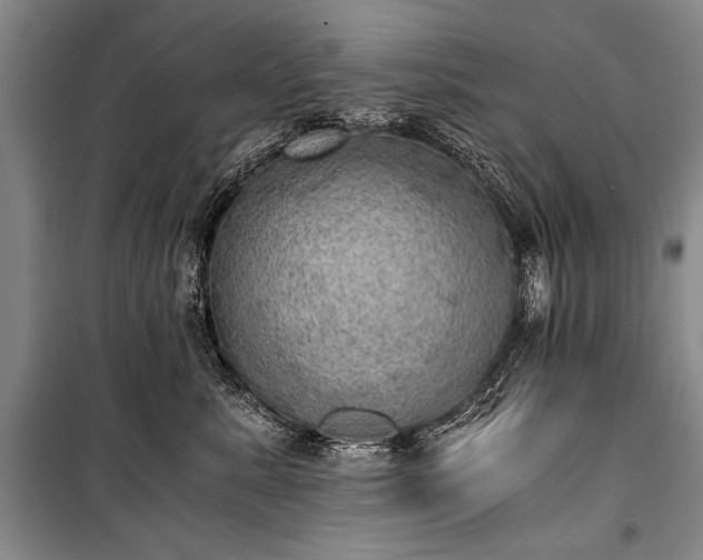 X0000100930619200807011223