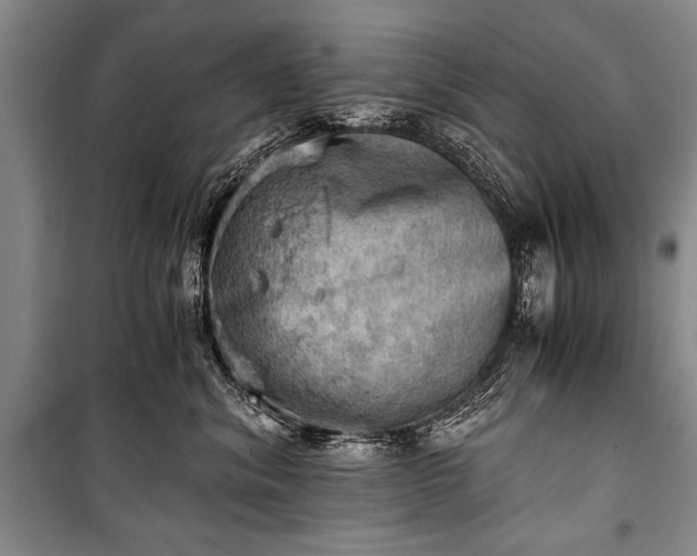 X0000100930620200807011223