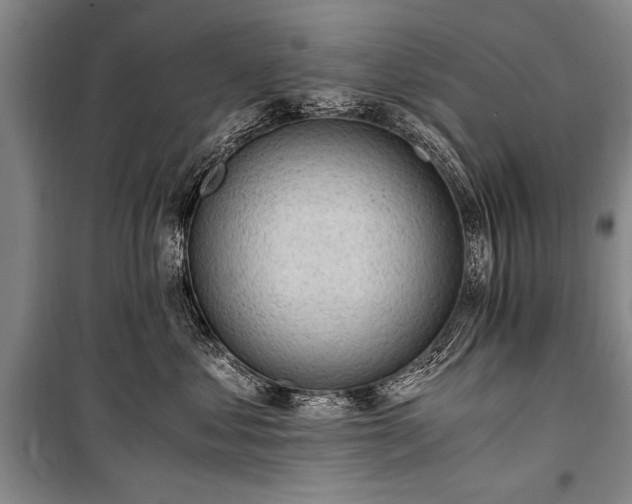 X0000100930621200807011223