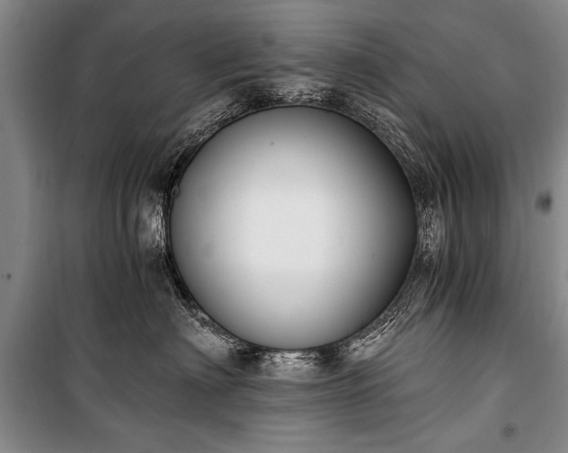 X0000100930622200807011223