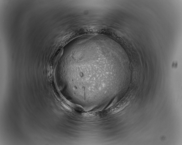 X0000100930624200807011222