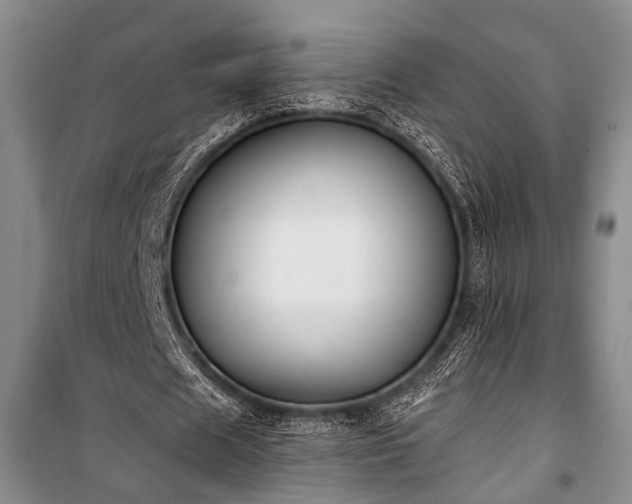 X0000100930625200807011222