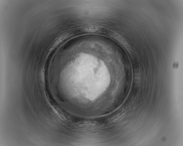 X0000100930626200807011222