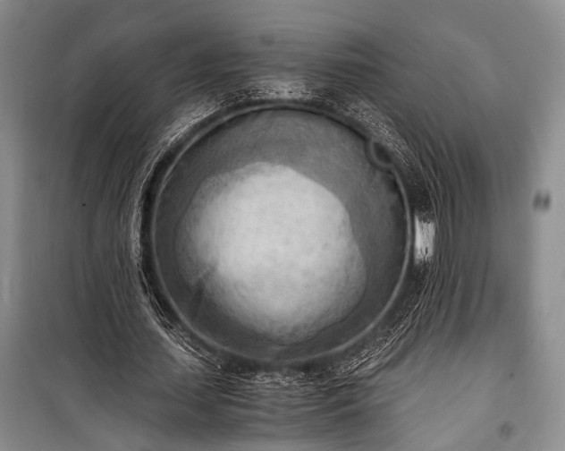 X0000100930627200807011222