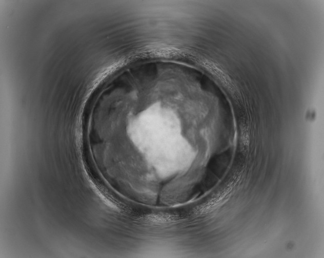 X0000100930630200807011222