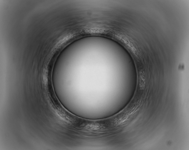 X0000100930631200807011222