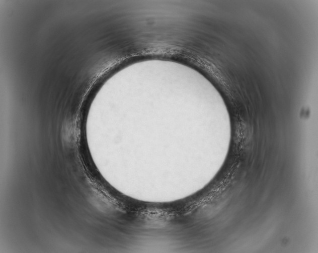 X0000100930632200807011222