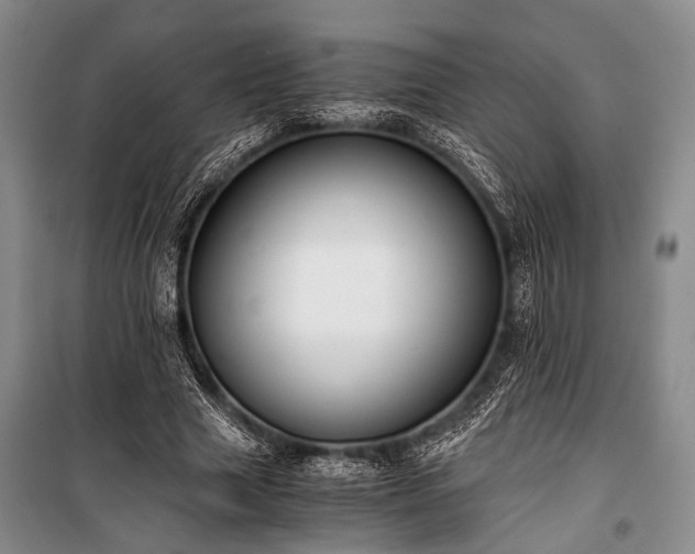 X0000100930633200807011222