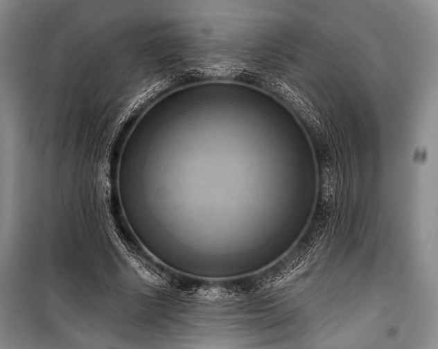 X0000100930634200807011222