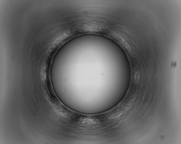 X0000100930635200807011222